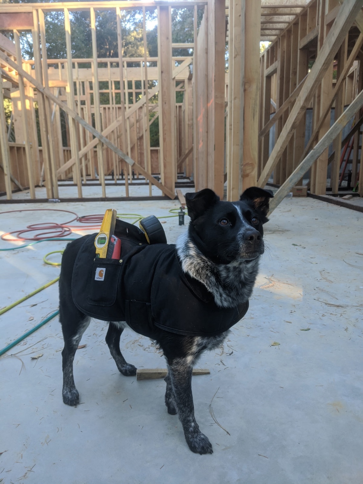 On site with The Builders Collective
